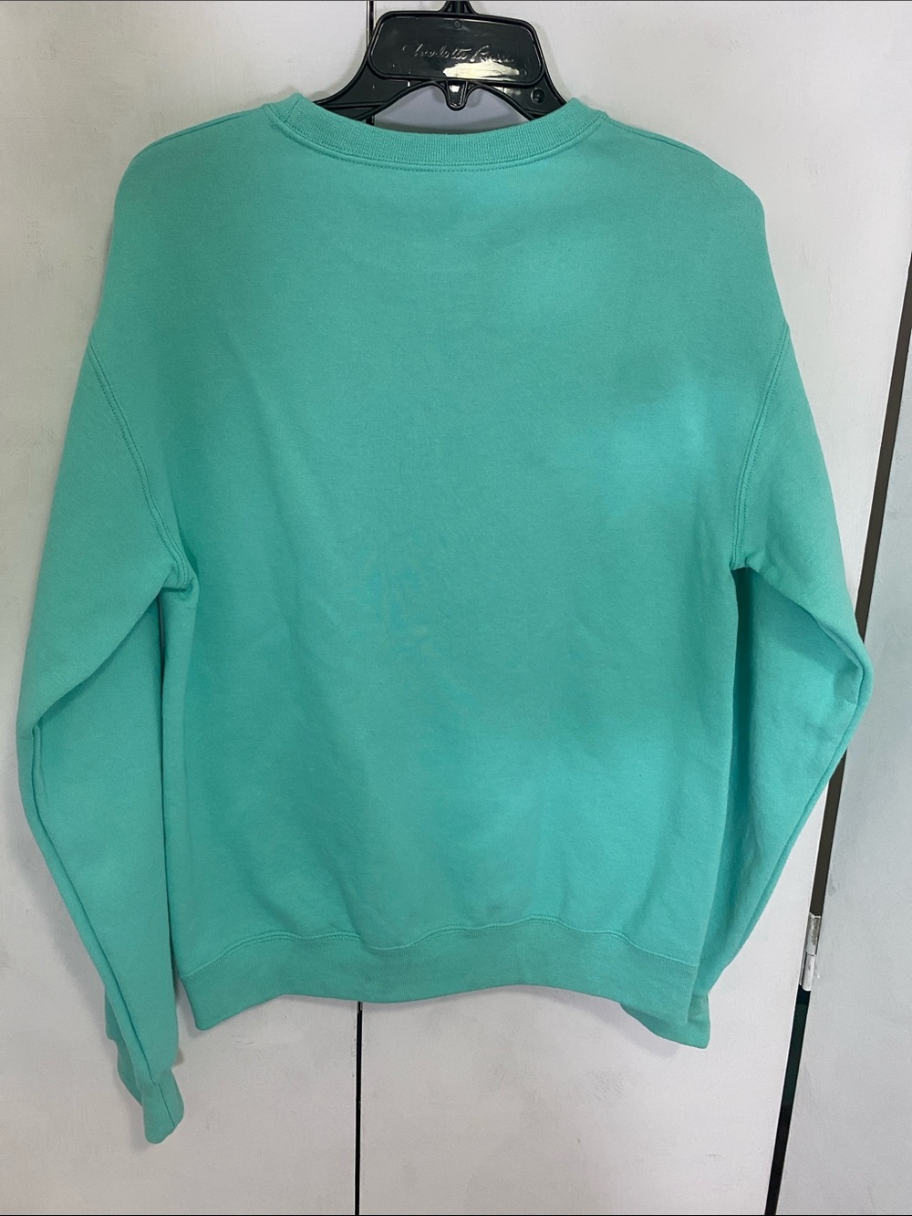 Jerzees Teal Green Pluto Graphic Crewneck Sweatshirt - Picture 4 of 6